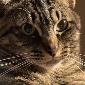 Meet your Posher, Parkerann